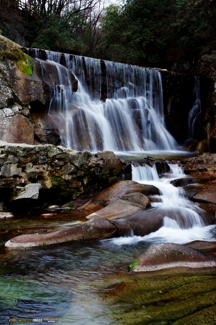 DSC08171a.jpg