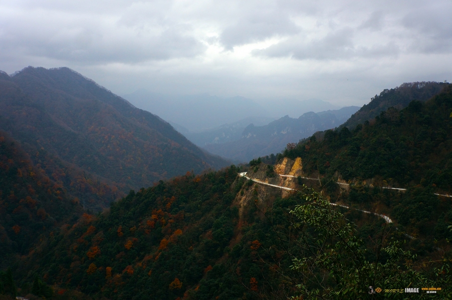DSC08613a.jpg