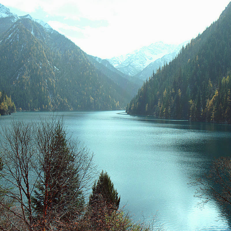 L1021844.jpg
