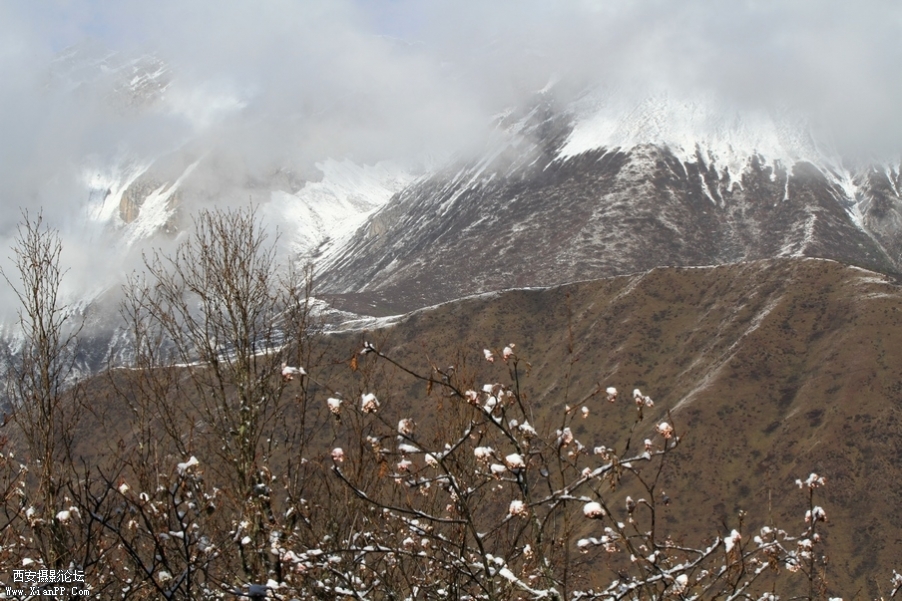 九寨，黄龙风光 517.jpg