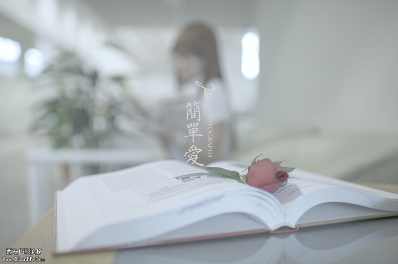 简单爱