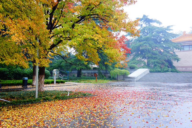 DSC03506_副本.jpg