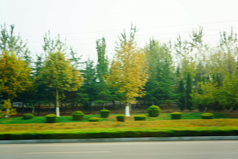 DSC02854_副本.jpg
