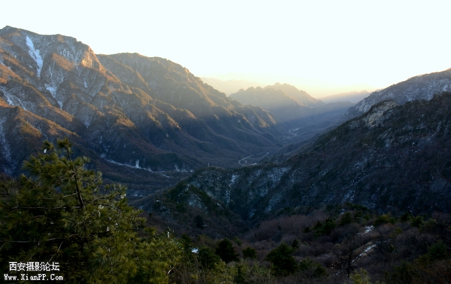 DSC_0976-001.jpg
