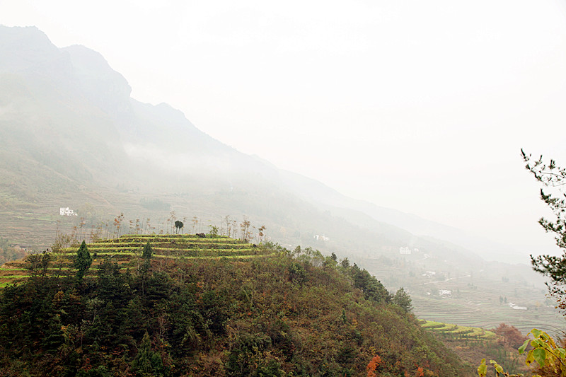 凤凰岭 151_副本.jpg