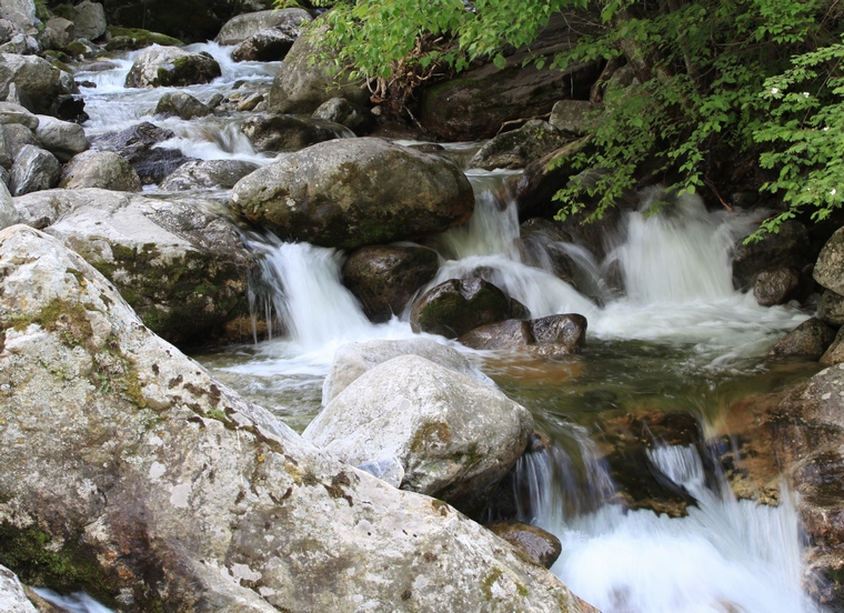 100_4220.jpg