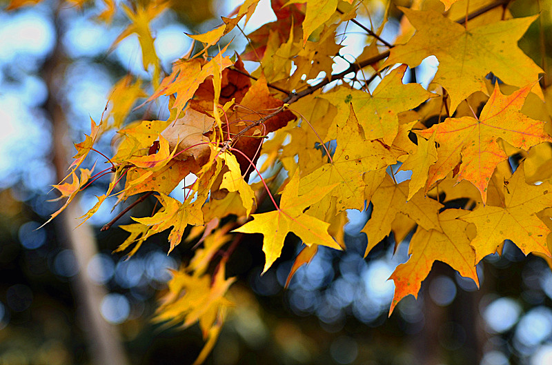 照片 066_副本.jpg