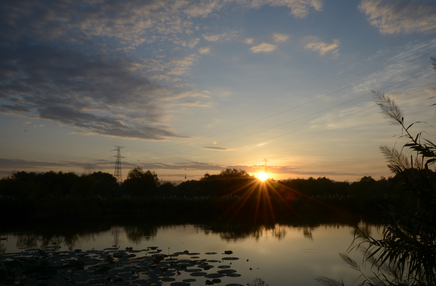 灞河湿地公园日出.jpg