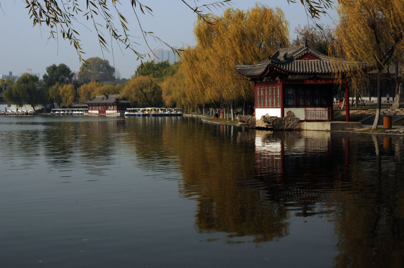 2012.11.18 00715.jpg