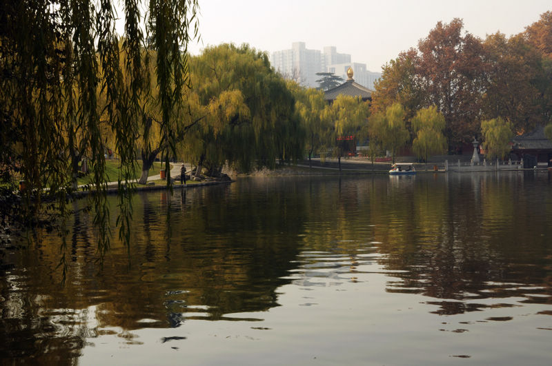 2012.11.18 04015.jpg