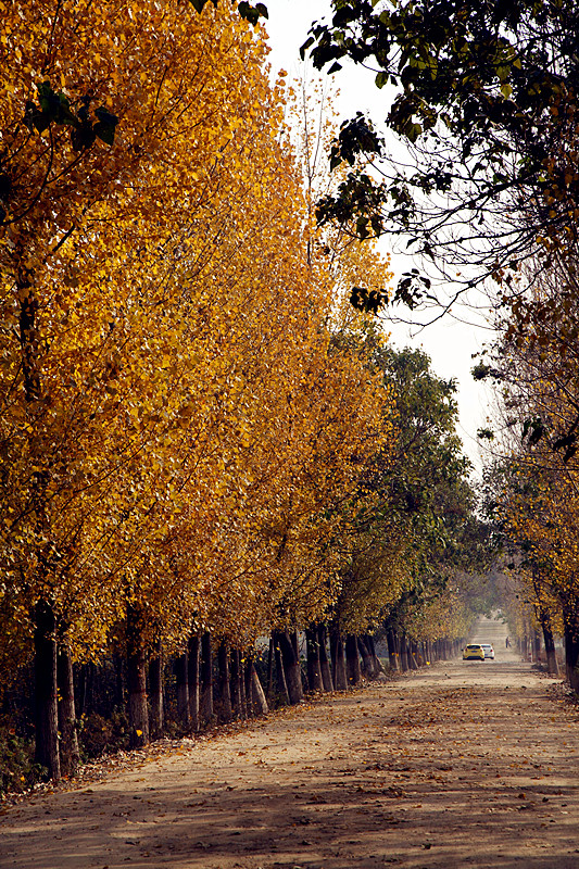 石砭浴 018_副本.jpg