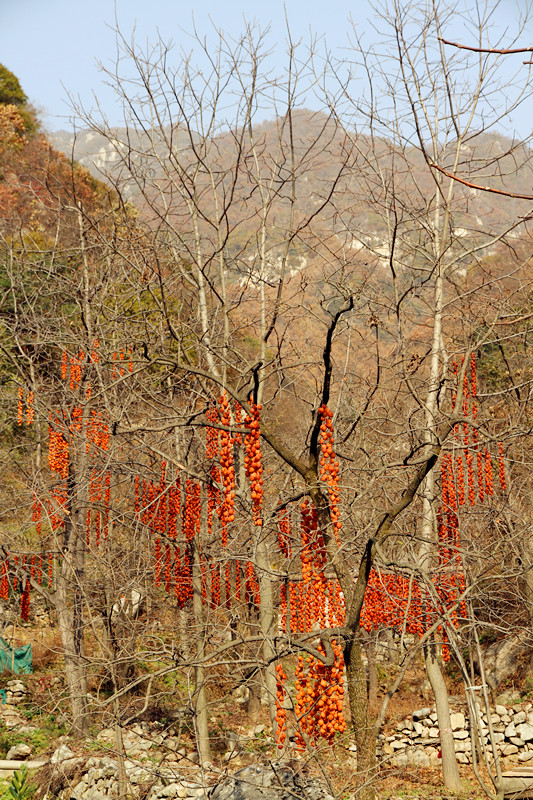 石砭浴 024_副本.jpg