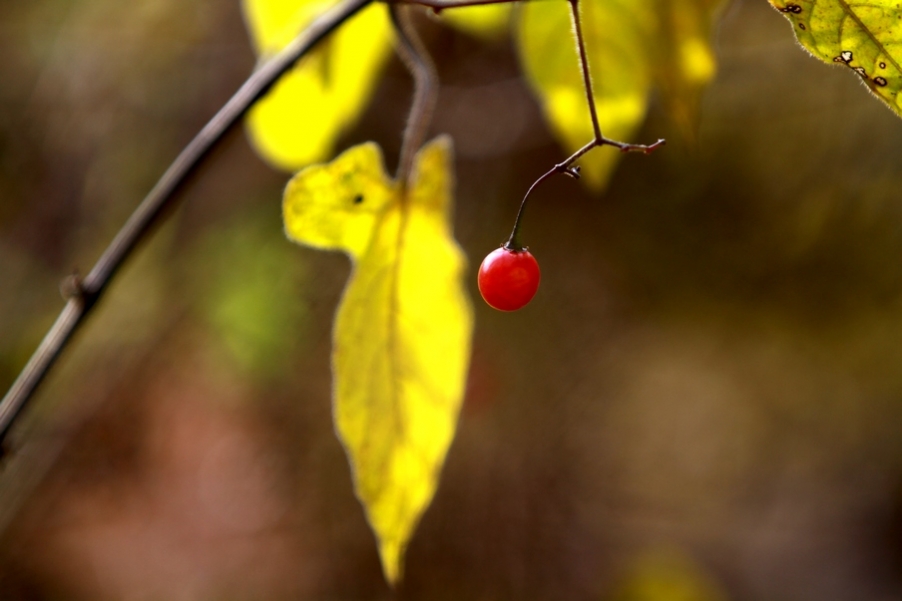 秦岭山水 087.jpg