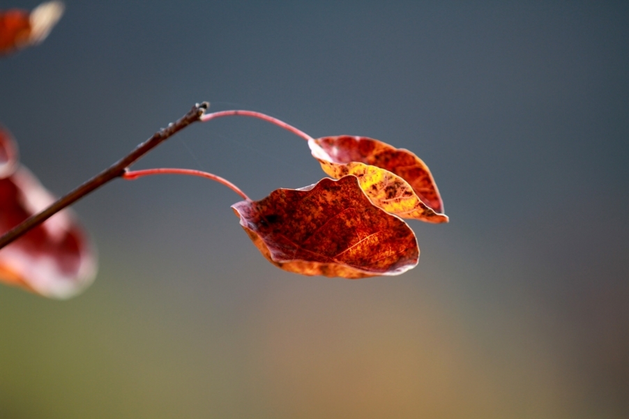 秦岭山水 101.jpg