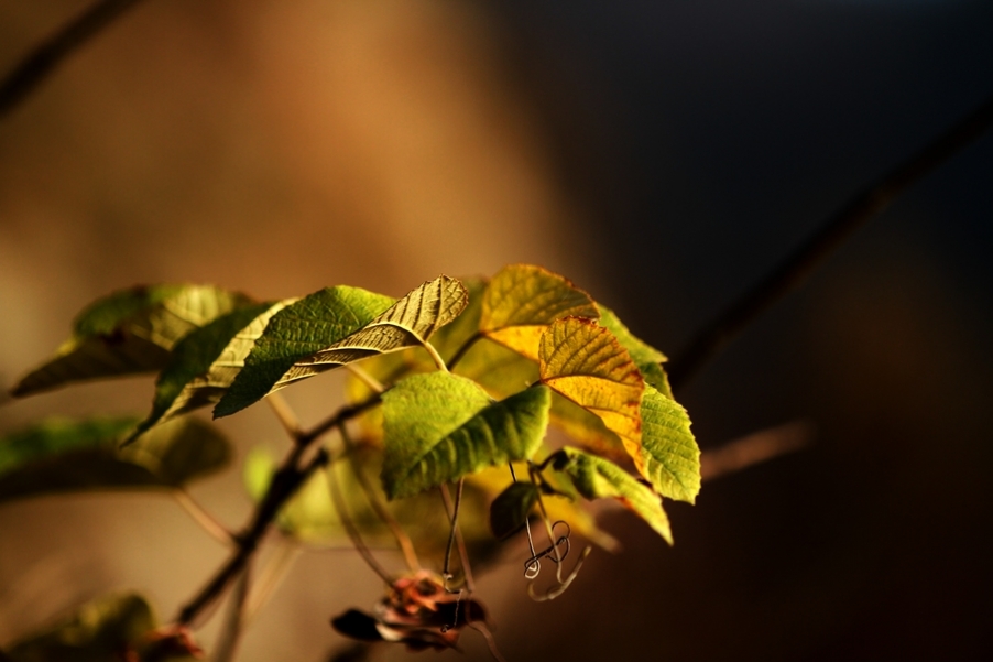 秦岭山水 107.jpg