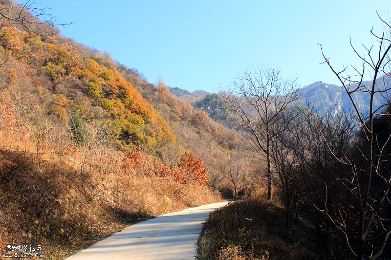 IMG_7754_副本.jpg