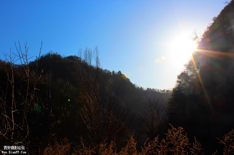 IMG_8105_副本.jpg