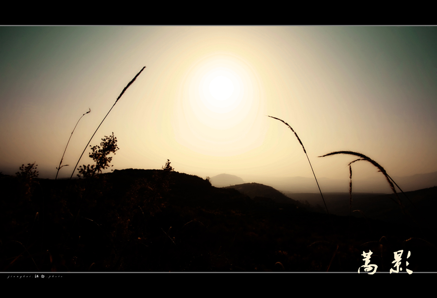 蒿影逆光.jpg