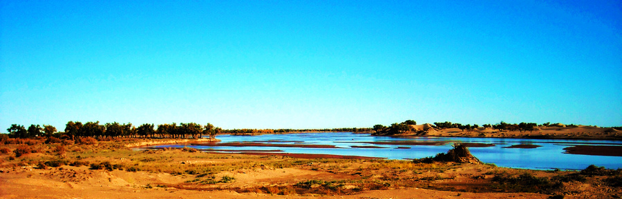 DSCN6115.jpg