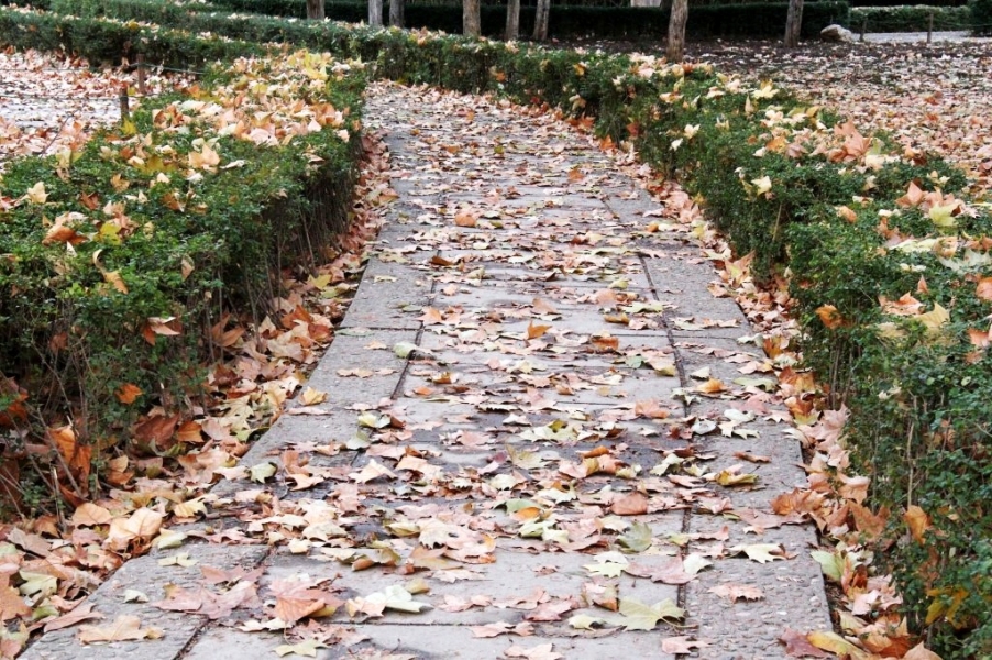 conew_img_9232_conew1.jpg