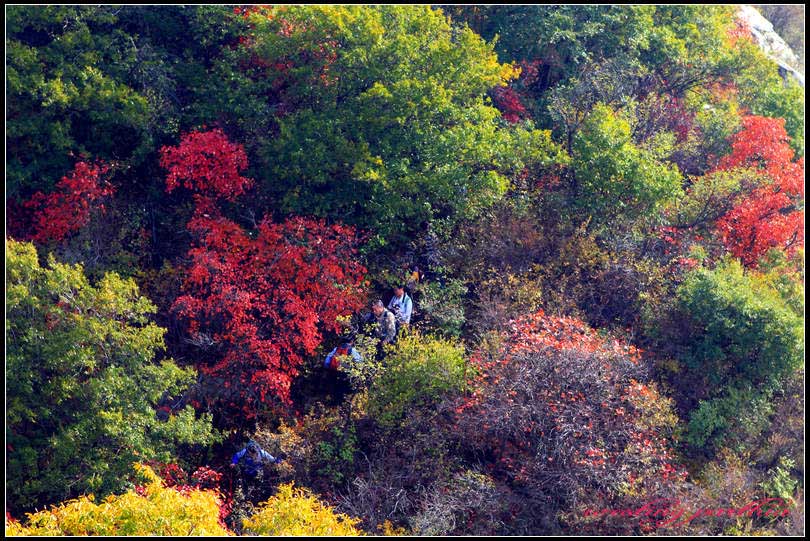 造化运笔泼重彩，天人合一凝华章。