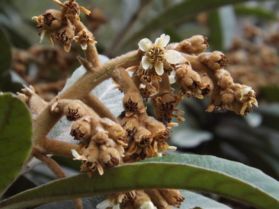 照片 013_副本.jpg