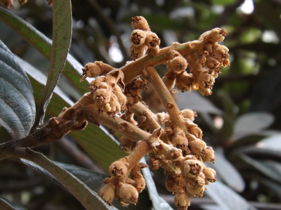 照片 014_副本.jpg