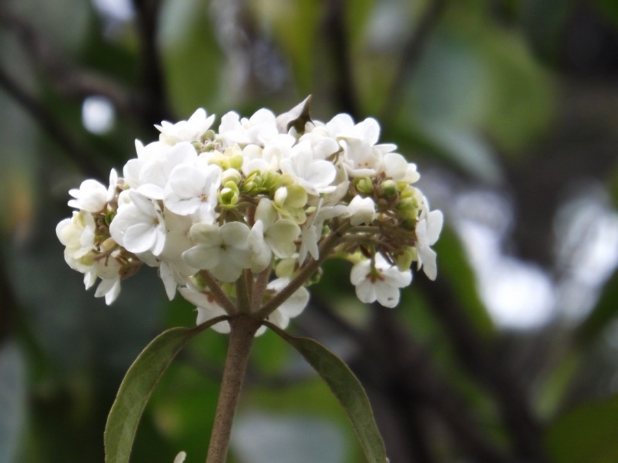 照片 016_副本.jpg