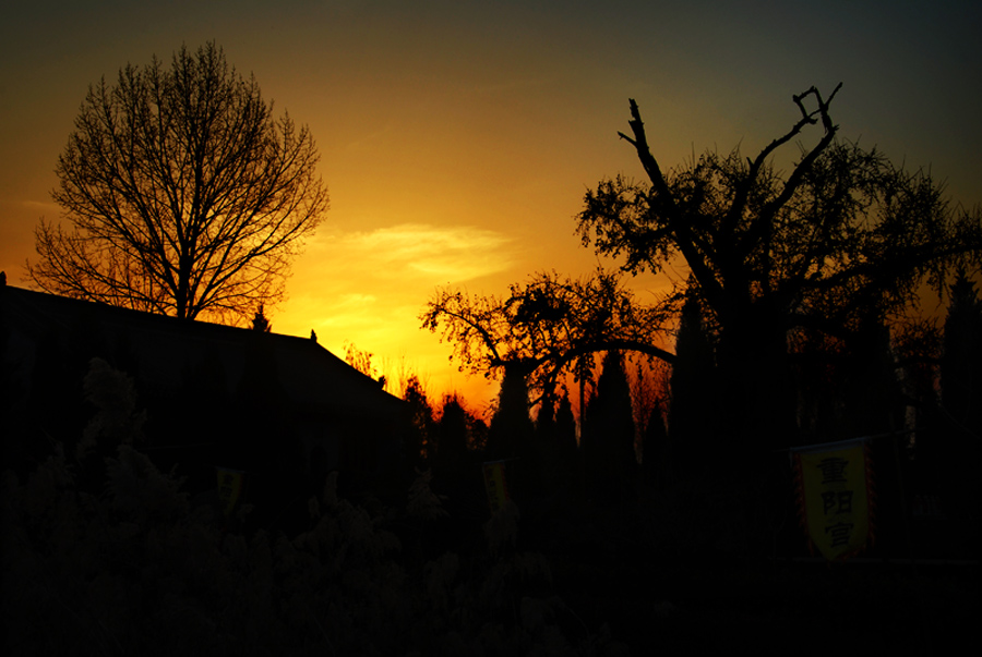 夕阳 (4).jpg