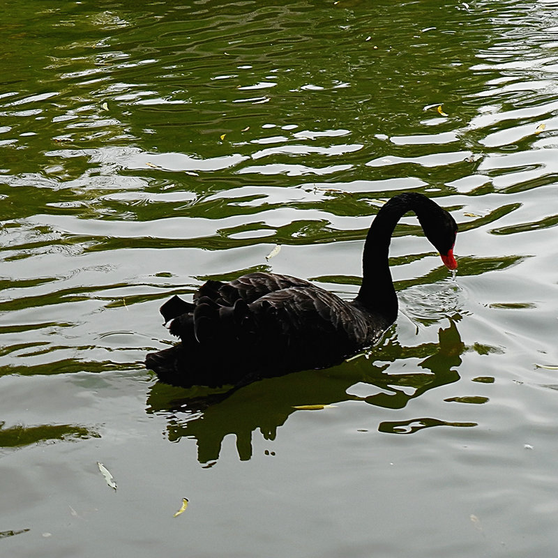 L10y24275.jpg