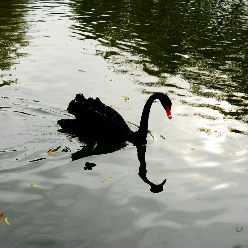 L1024270.jpg