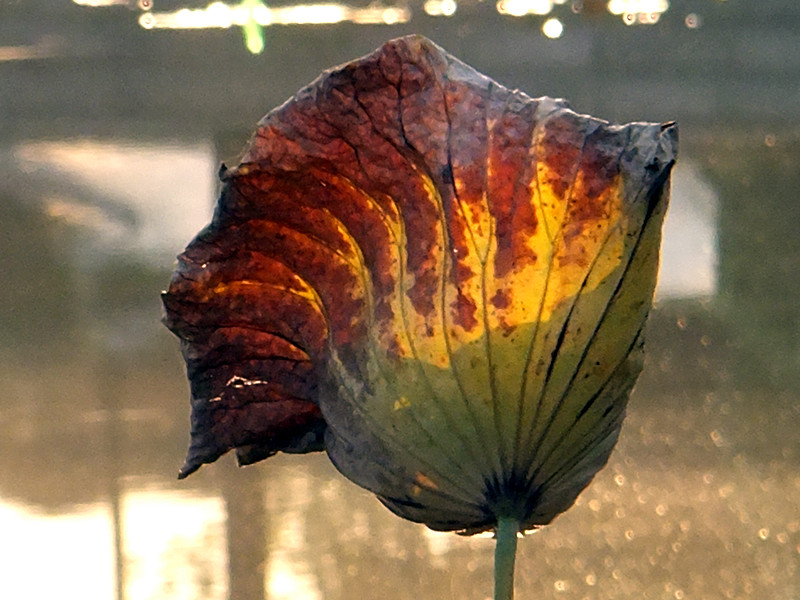 DSCF9700_副本.jpg