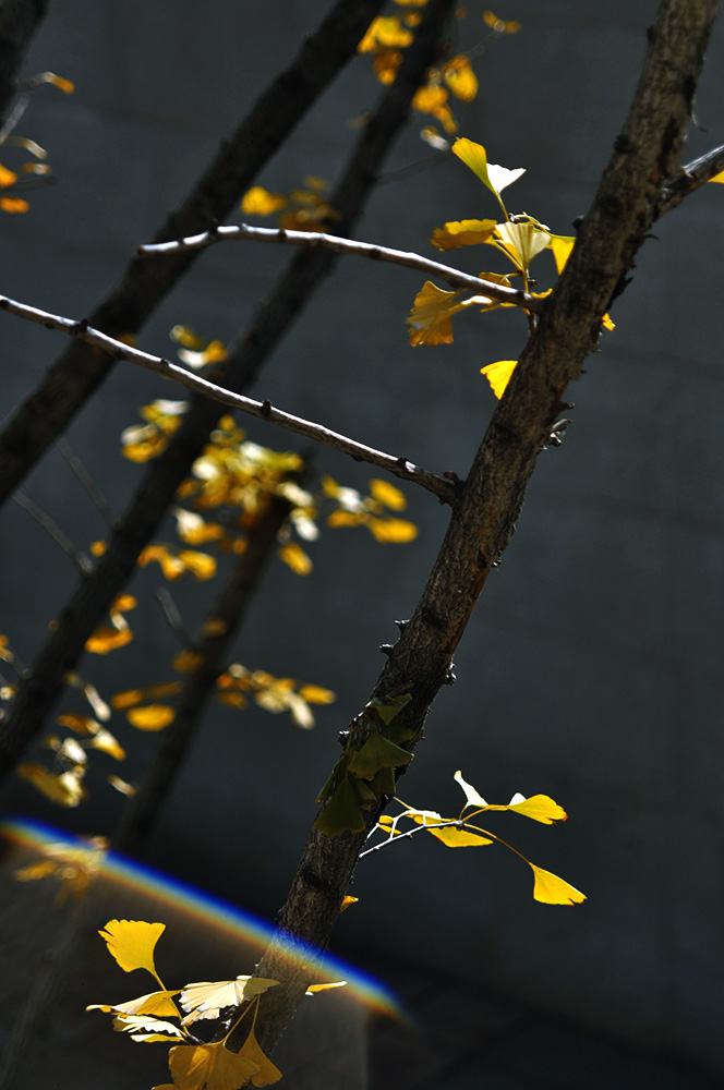 DSC_0102.JPG