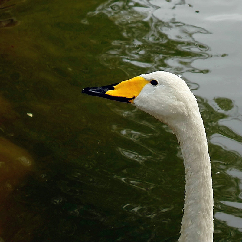 L1024299.jpg