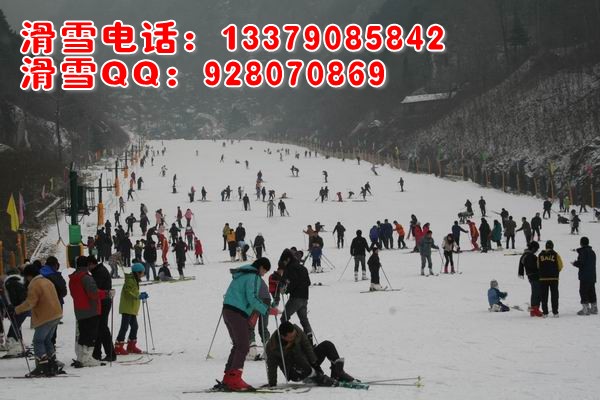 西安翠华山滑雪场-翠华山滑雪多钱-翠华山滑雪场在哪-翠华山滑雪场怎么样