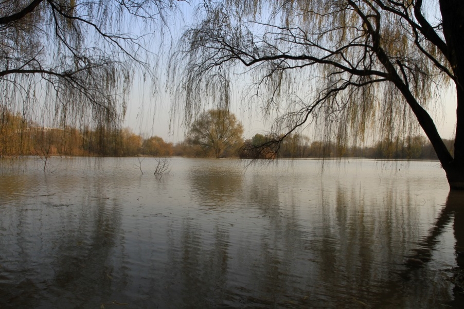 浐灞秋景 309.jpg