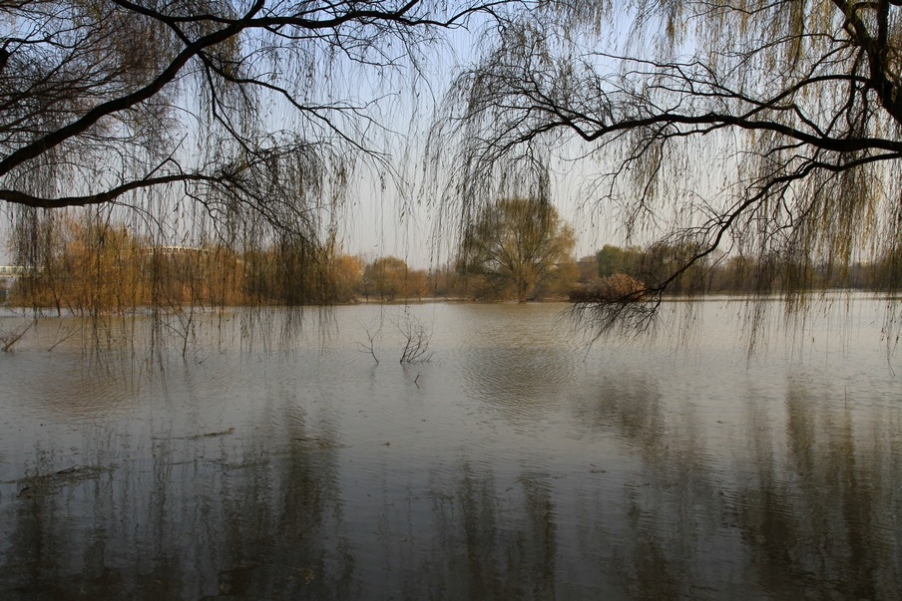 浐灞秋景 327.jpg
