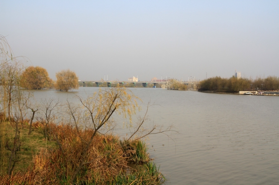 浐灞秋景 378.jpg