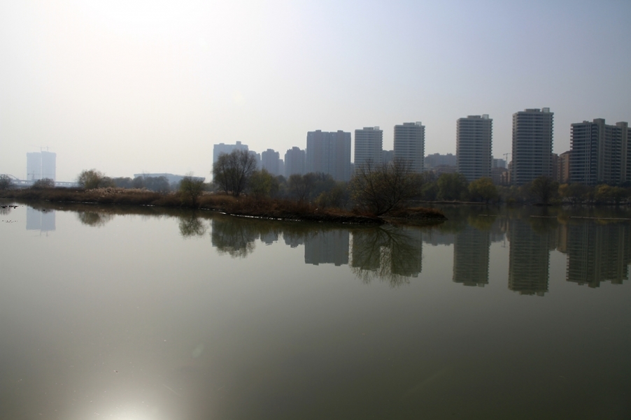 浐灞秋景 524.jpg