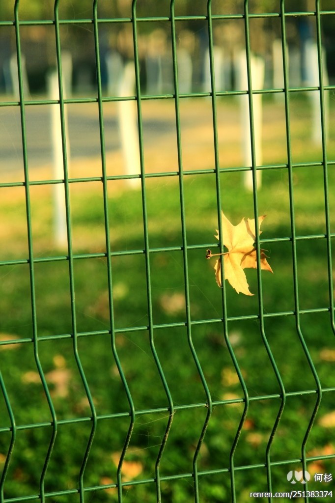 original_ZDup_02a7000035af125f.jpg