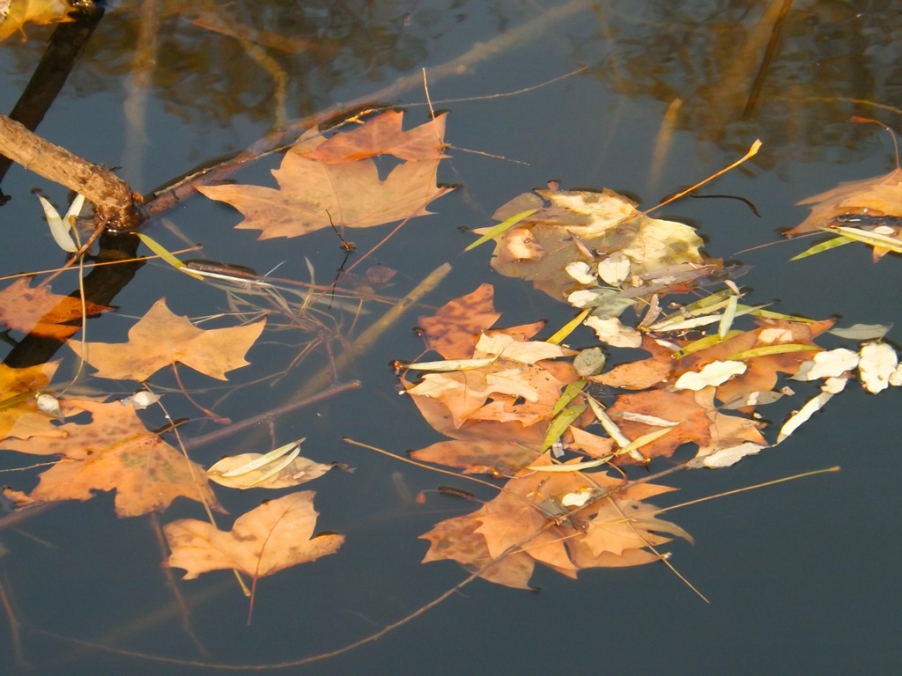 照片 024_副本.jpg