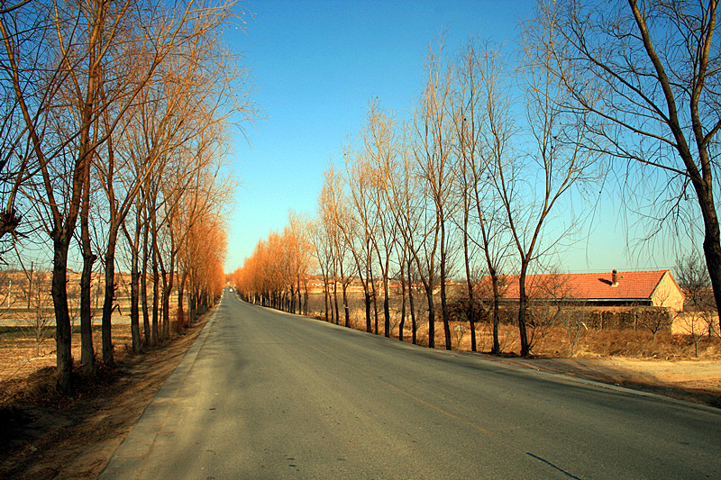 照片 043_副本.jpg