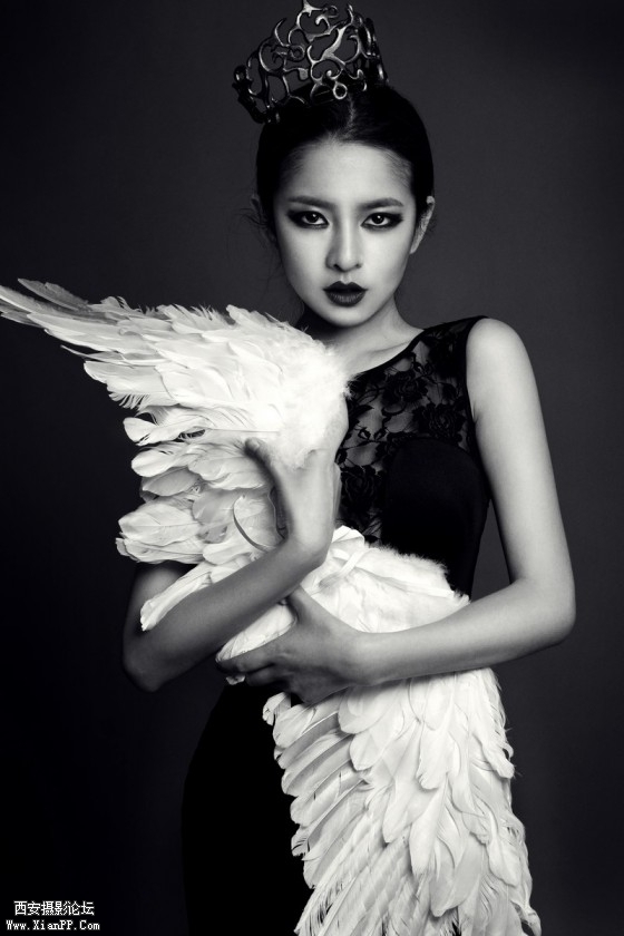 teh008-560x840.jpg