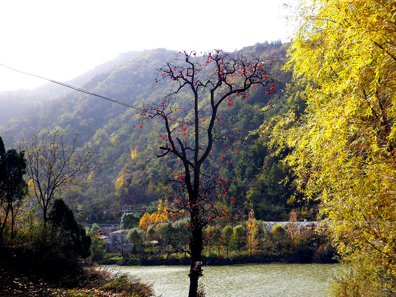 dscf9132_副本.jpg