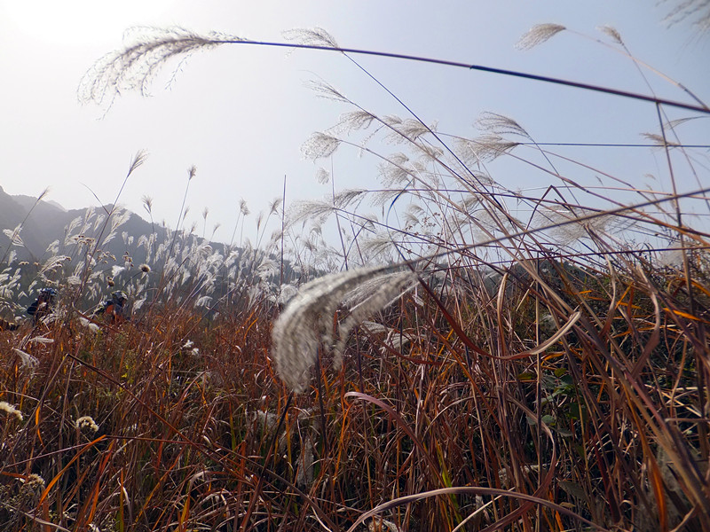 DSCF8901_副本 - 复制.jpg