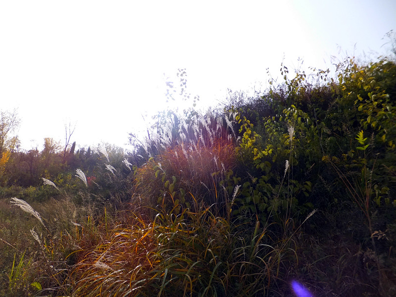 DSCF8774_副本 - 复制.jpg