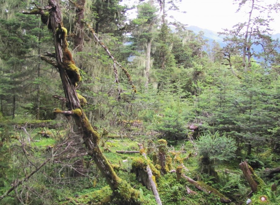 西藏之旅 152.jpg