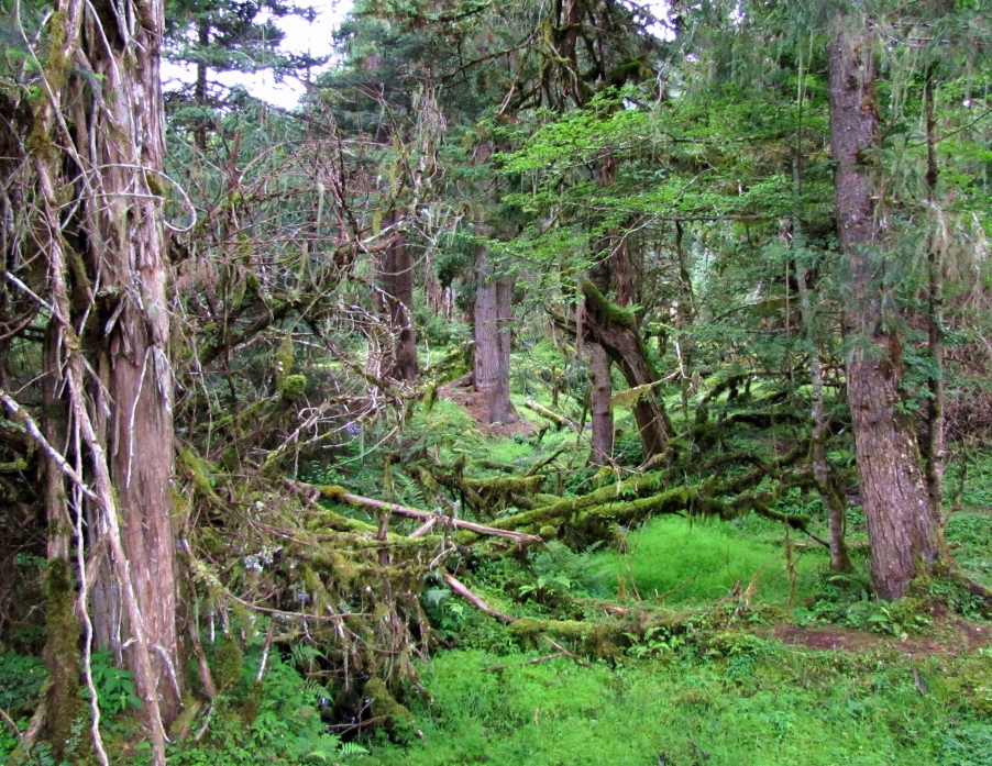 西藏之旅 155.jpg