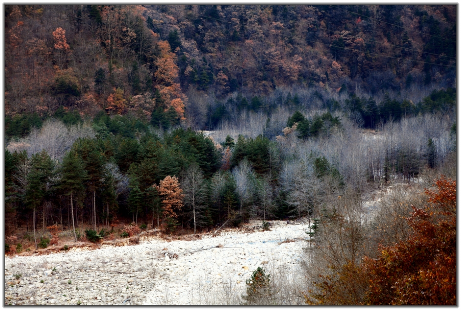 IMG_0222副本  .jpg