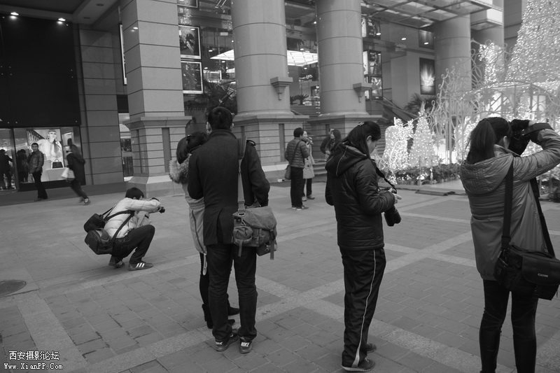 调整大小 _MG_8088.JPG